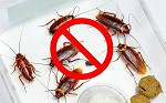 Эффективные средства против тараканов