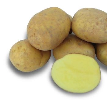 �������� ������ ��������� ����� �������� � �������-�������