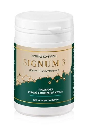 ���� �������� ������-�������� Signum 3 � ��������� E