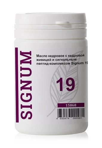 ���� �������� ����� �������� � �������� ������� � ���������� ��������� �������� Signum 19